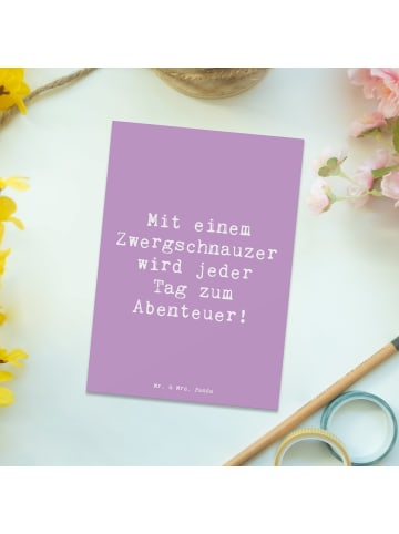 Mr. & Mrs. Panda Postkarte Spruch Zwergschnauzer Abenteuer mit S... in Lavendeltraum