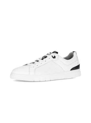 Gabor Sneaker low in weiß