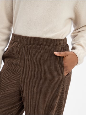 American Vintage Hose Padow in braun