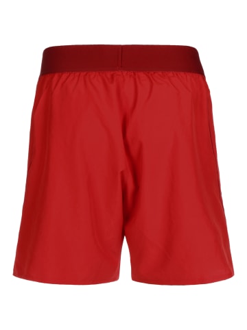 adidas Performance Shorts Donovan Mitchell in rot / weiß