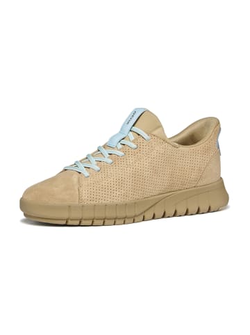 Geox Klassische Schnürschuhe in Beige