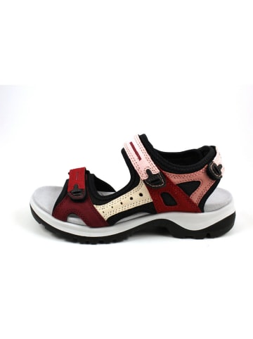 Ecco Outdoor Sandalen für Damen in rot