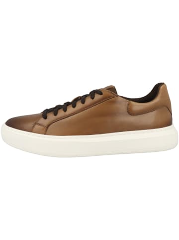 Geox Sneaker low U Deiven D in hellbraun