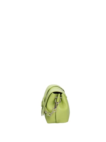 Chiara Ferretti Schultertasche in GREEN