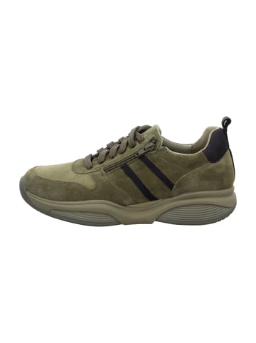 Xsensible Sportliche Schnürschuhe in Beige