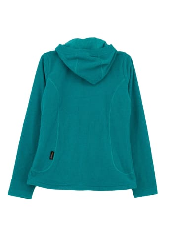 Jack Wolfskin Jacke Skywind Hooded Fleece in Blau