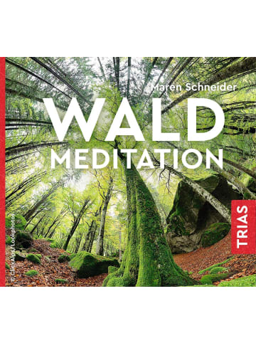 TRIAS Waldmeditation