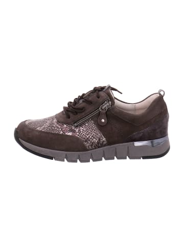 WALDLÄUFER Komfort Schnürschuhe in Grau