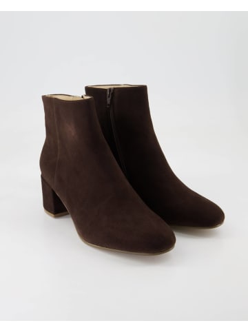 Högl Klassische Stiefeletten in Braun