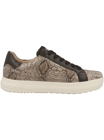 PETER KAISER Sneaker low 9-73640-45 in beige