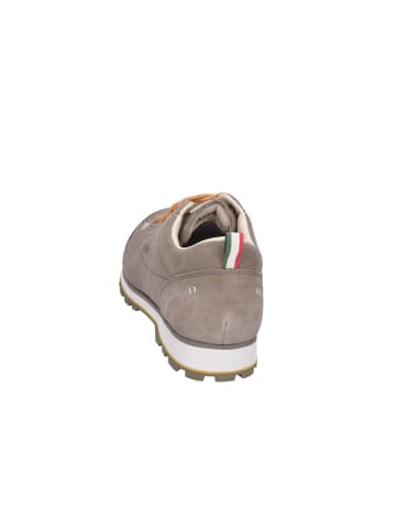 DOLOMITE Wanderschuhe in braun