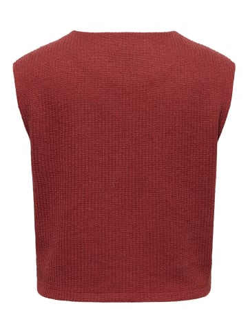 ONLY Carmakoma Strickjacke in Spiced Apple