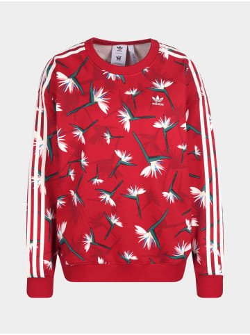 adidas adidas Rundhalsausschnitt in power red/multicolor