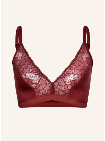 Erlich Textil Alisa Big Cup Bustier mit Spitze große Cups aus Modal - breites Unterbrustband in weinrot