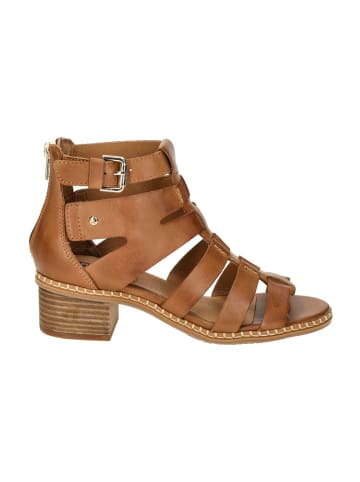 Pikolinos Römersandalen in Braun