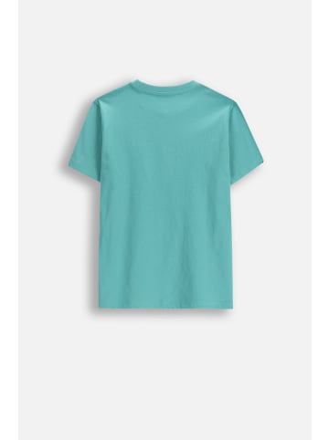 MOKIDA Baumwoll-T-Shirt mit kurzen Ärmeln in grün