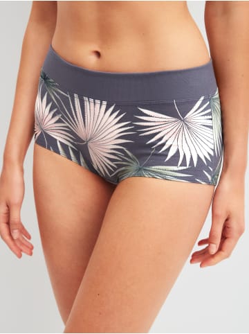 Calida Panty in graystone