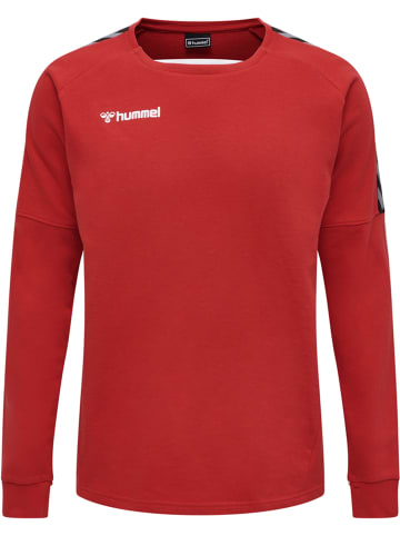 Hummel Sweatshirt Hmlauthentic Training Sweat in TRUE RED