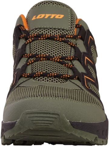 Lotto Sneaker "Groton Xl" in Grün