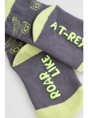 Coccodrillo Socken in grau