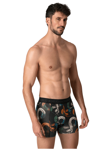 Muchachomalo 12er-Set: Boxershort in Mehrfarbig - für Herren