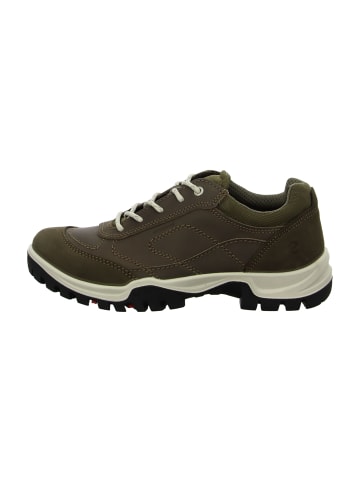 Ecco Wander- & Bergschuhe in Braun