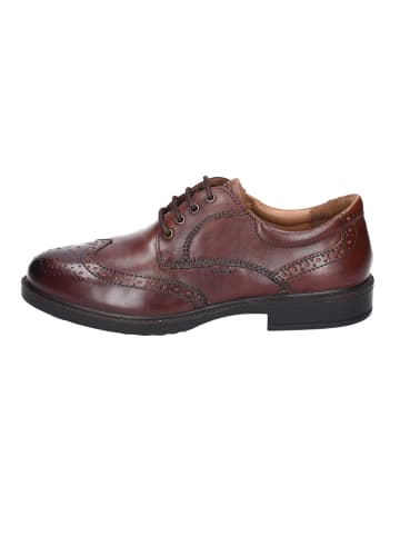 Josef Seibel Schnürschuh in braun
