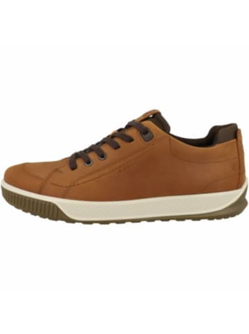 Ecco Sneaker für Herren in orange in orange