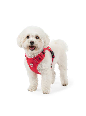 Reichstadt Reichstadt  Hundegeschirr  25RSP083 Red L