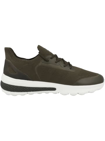 Geox Sneaker low U Spherica Actif A in gruen