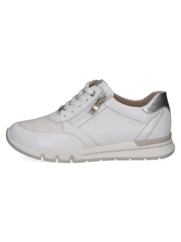 Caprice Schnürschuhe in white/silver