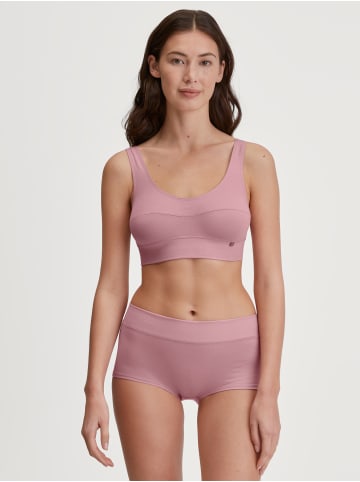 Calida Panty in lilas