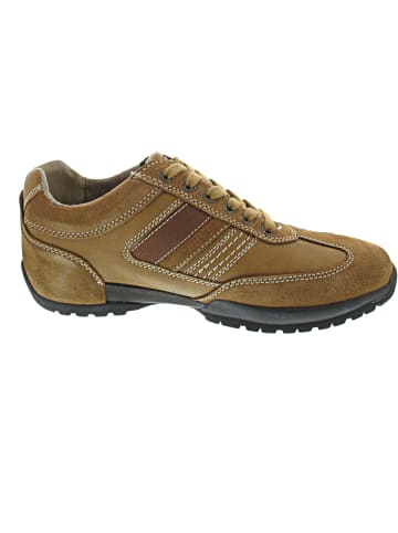 Camel Active Sneaker low Braun