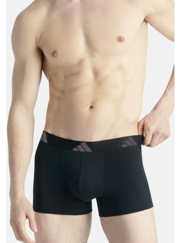 Adidas Sportswear Retro Short / Pant Active Flex Cotton in Schwarz / orange