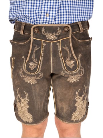 MADDOX Lederhose BRIENZ in braun
