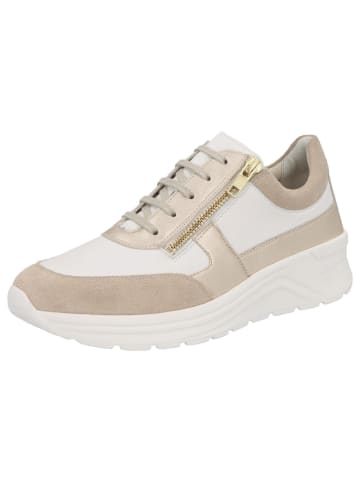 Solidus Damen- Schnürschuhe Holly - Weite H in Beige