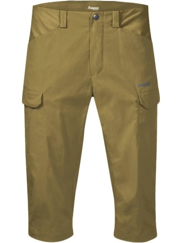 Bergans Short in Grün