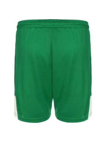 Spalding Shorts Jam in grün / weiß