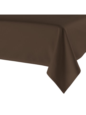 Traumschlaf Spannbettlaken Feinbiber Haustuch Bettlaken in mocca