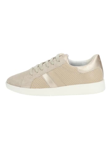 Geox Sneaker in Taupe