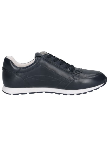 Caprice Sneaker in OCEAN SOFTNAP.