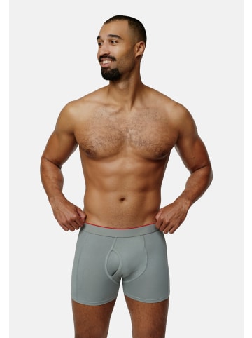 DANISH ENDURANCE Boxershorts Bamboo Trunks with fly in black_red_grey_navy