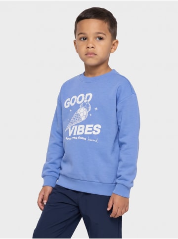 Hummel Sweatshirt Hmljr Graphic Kinder in PERSIAN JEWEL