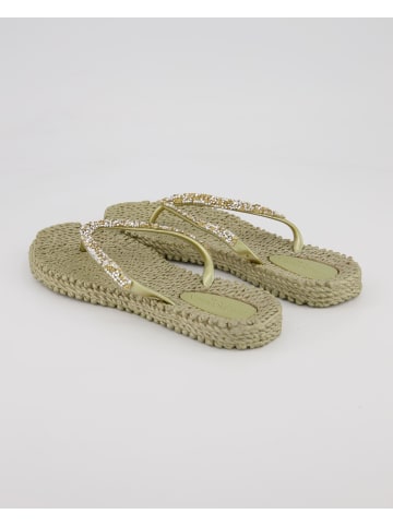 Ilse Jacobsen Zehentrenner in Braun