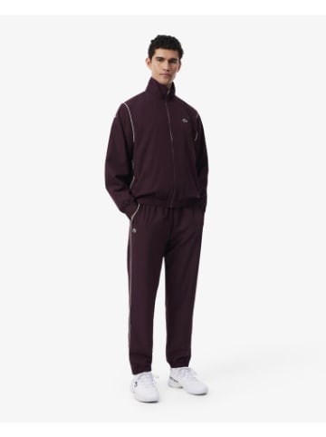 Lacoste Trainingshose in Oxalis/Farine