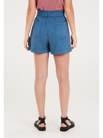 Protest " PRTEMMA in Raku Blue