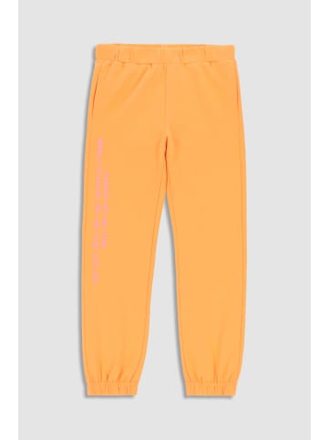 Coccodrillo Jogginghose in orange