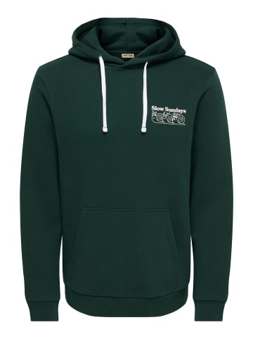 ONLY & SONS Kapuzenpullover in Pine Grove