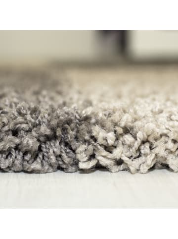 Hochflor Teppich Gianna in Taupe