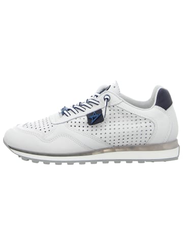 Cetti Sneaker Low in weiß